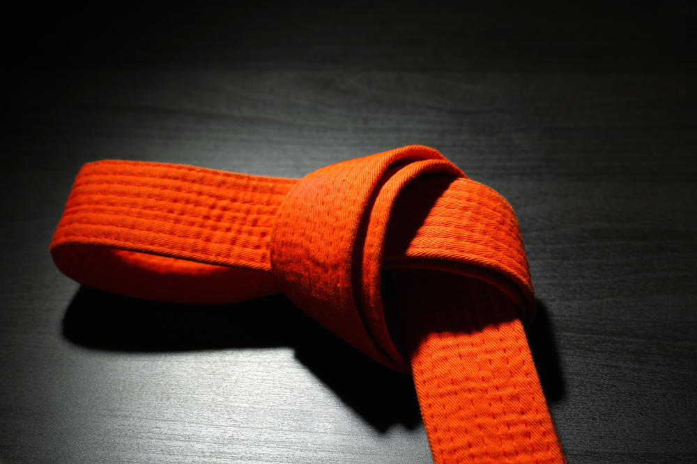 Grading Syllabus Orange Belt