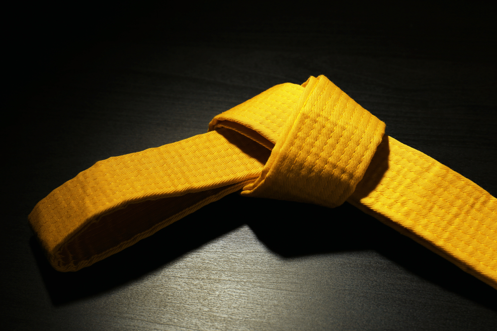 Grading Syllabus Yellow Belt